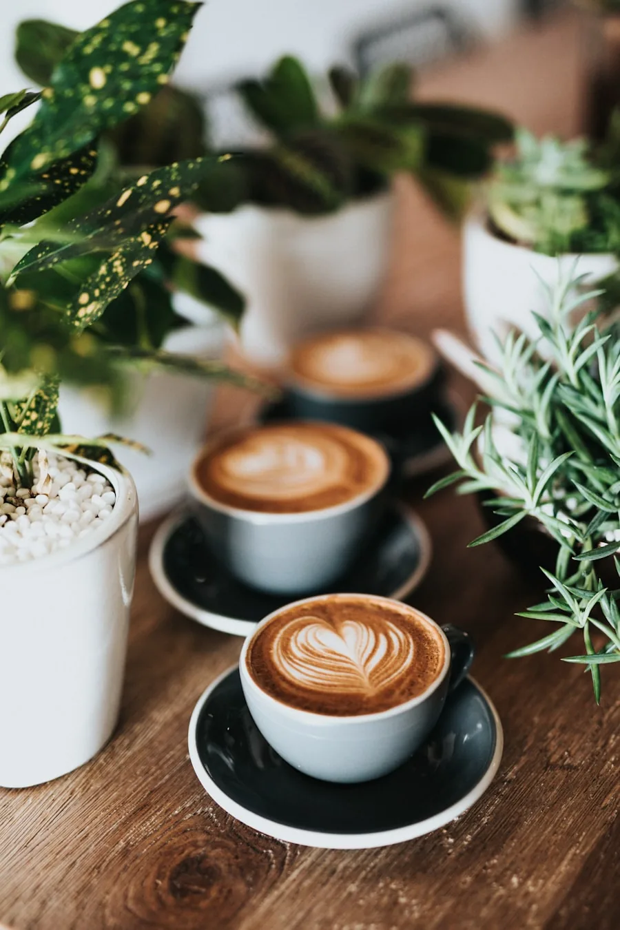Three cups of cappuccino with latte art, on saucers on a wooden table between pots of herbs and plants