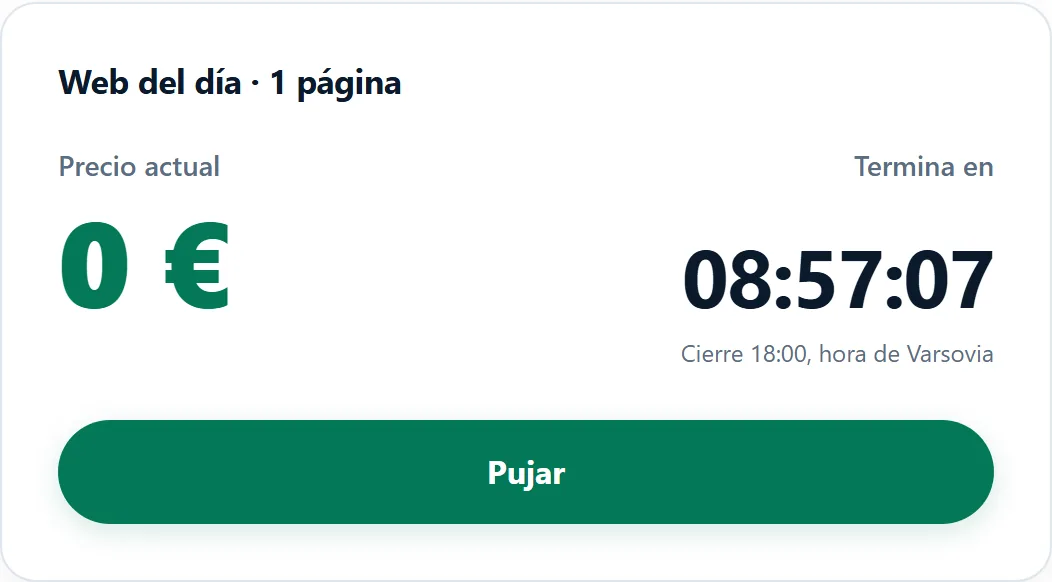 La ficha de la web del día en la página de la subasta